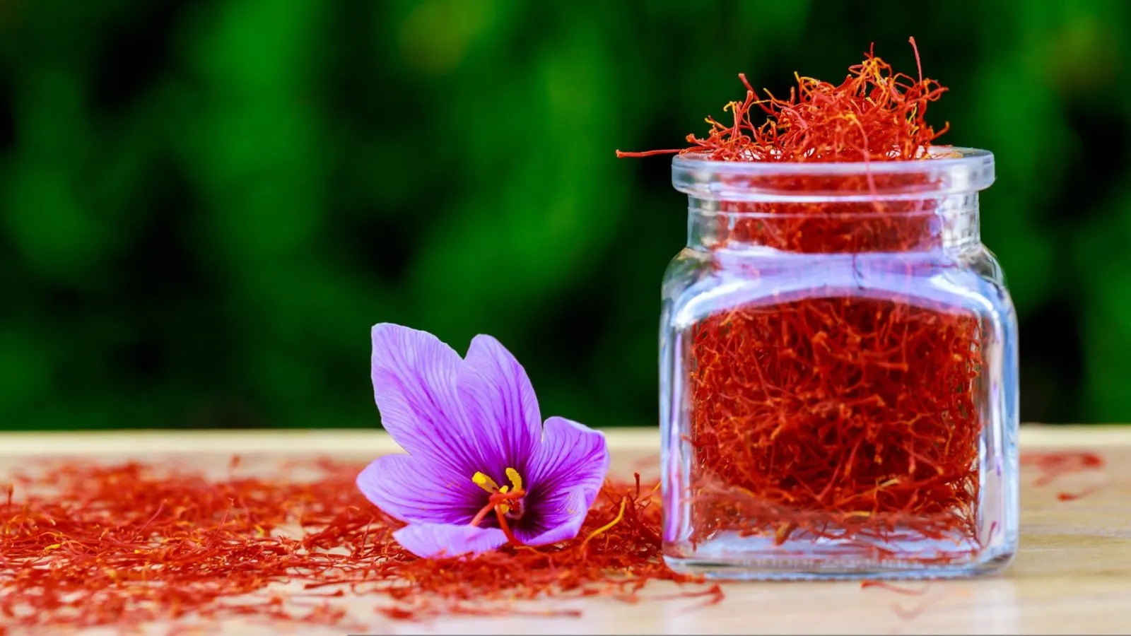 The Golden Spice: Why Kashmiri Zaffron (Saffron) is the World’s Finest